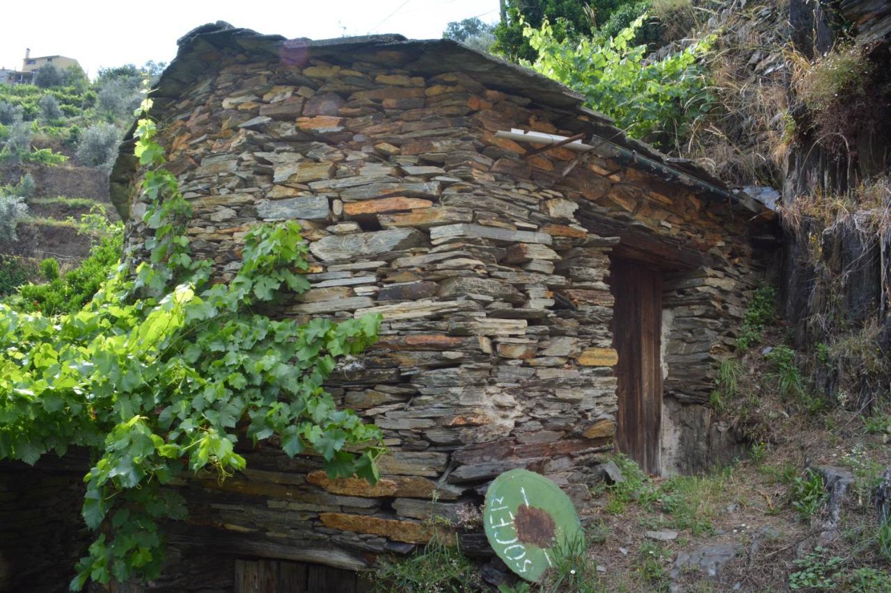 Casa Do Azereiro Vila Casal do Rei  Exterior foto